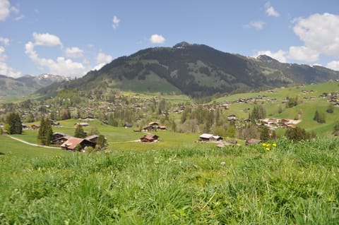 Land view from property