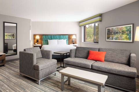 Studio, One King Bed, Non-Smoking | Living area | 37-inch flat-screen TV with cable channels, TV, video-game console