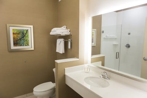 Shower, free toiletries, hair dryer, towels