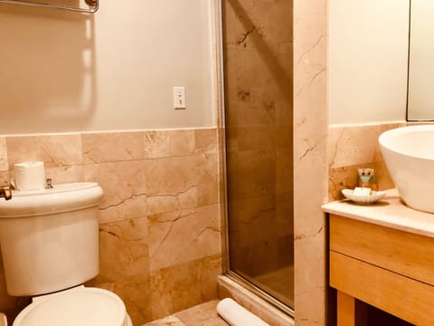 Superior Double Room, 1 Queen Bed, Private Bathroom | Bathroom | Hair dryer, towels, soap, shampoo