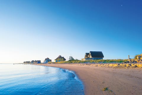 On the beach, beach bar