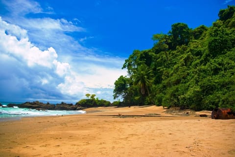 Beach nearby, sun loungers, beach umbrellas, beach massages