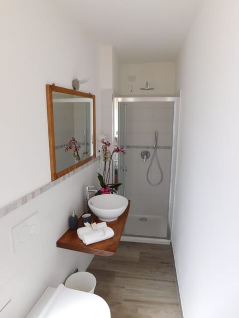 Shower, free toiletries, hair dryer, towels