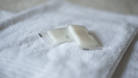 Shower, free toiletries, towels