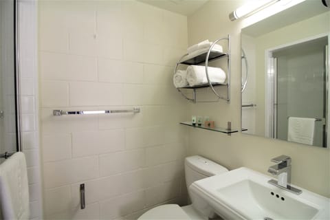 Premium Room, 1 King Bed, Non Smoking | Bathroom | Shower, eco-friendly toiletries, hair dryer, towels