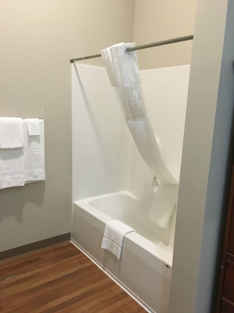 Deluxe Room, Multiple Beds, Refrigerator, Mountain View | Bathroom | Combined shower/tub, rainfall showerhead, free toiletries, hair dryer