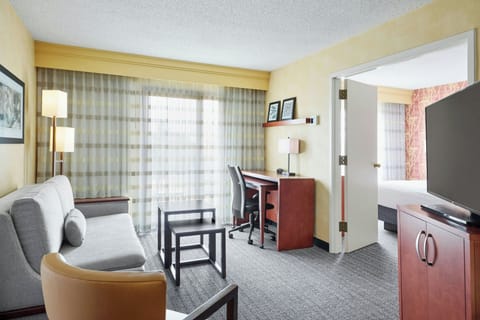 LCD TV, pay movies, streaming services