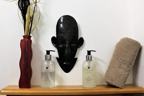 Standard Double Room | Bathroom amenities | Shower, free toiletries, hair dryer, towels