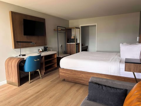 Standard Room, 1 King Bed, Non Smoking, Refrigerator & Microwave (Shower Only;with Sofabed) | Desk, laptop workspace, free WiFi, bed sheets