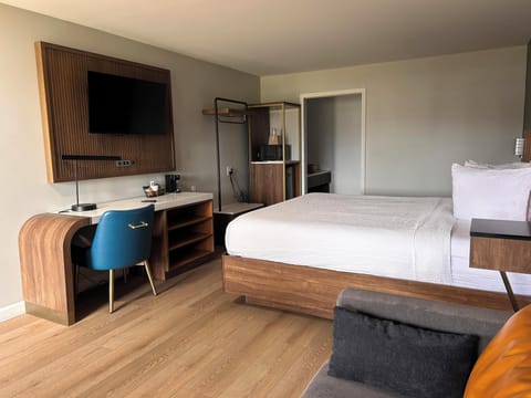 Standard Room, 1 King Bed, Non Smoking, Refrigerator & Microwave (Shower Only;with Sofabed) | Desk, laptop workspace, free WiFi, bed sheets