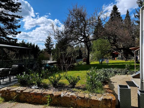 Single Room, Non Smoking | Garden view