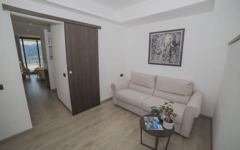 Suite, Terrace, Lake View | Living area | Flat-screen TV