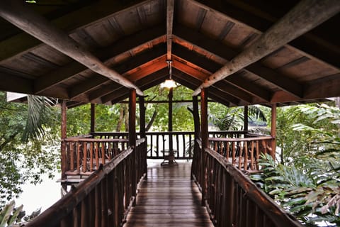 Standard Room, 1 Queen Bed | Terrace/patio