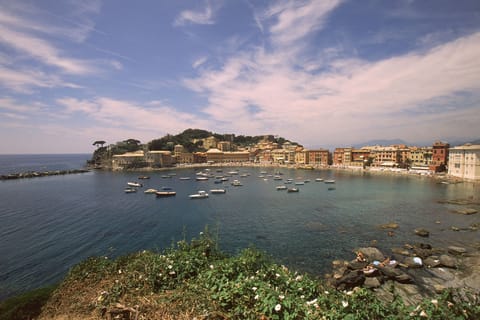 Beach nearby, black sand