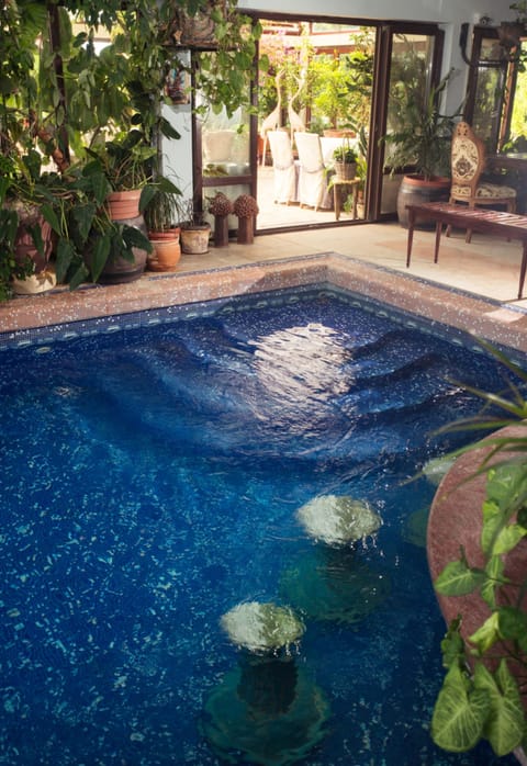 Seasonal outdoor pool, pool umbrellas, sun loungers