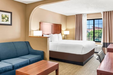 Suite, 1 King Bed with Sofa bed, Non Smoking | Down comforters, pillowtop beds, desk, blackout drapes