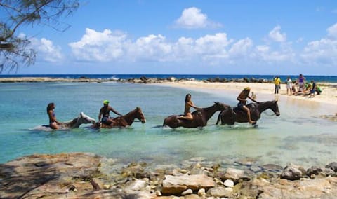 Beach nearby, white sand