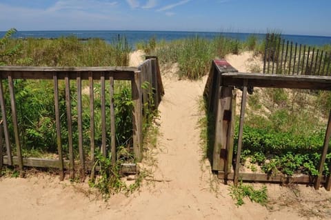 Deluxe Studio, 2 Double Beds, Kitchenette, Ocean View | Beach/ocean view