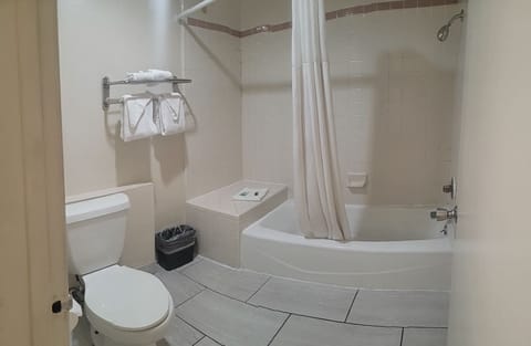 Combined shower/tub, free toiletries, hair dryer, towels