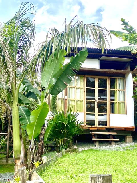 Basic Shared Dormitory, Mixed Dorm | Free WiFi, bed sheets