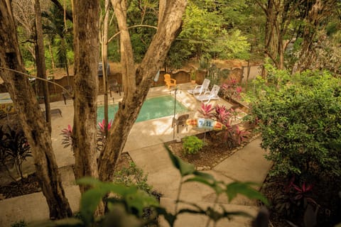 Outdoor pool, open 8:00 AM to 10:00 PM, sun loungers