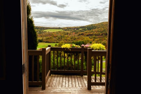 View from room