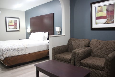 Executive Room, 1 King Bed, Non Smoking | Premium bedding, desk, iron/ironing board, free WiFi