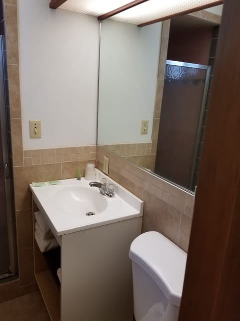 Room, 1 Queen Bed, Smoking | Bathroom | Hair dryer, towels