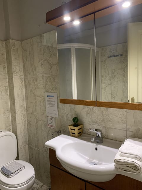 Classic Studio | Bathroom | Shower, hydromassage showerhead, free toiletries, hair dryer
