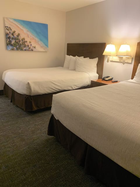 Premium bedding, blackout drapes, iron/ironing board