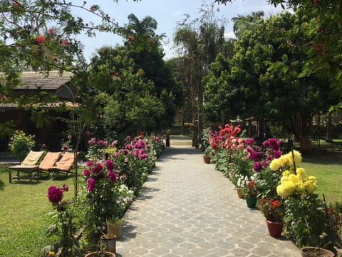 Garden view