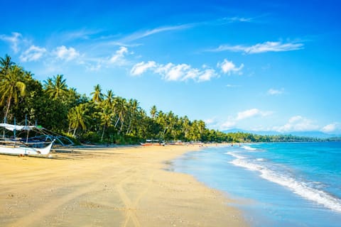 Beach bar