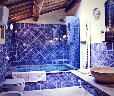 Shower, free toiletries, hair dryer, bidet