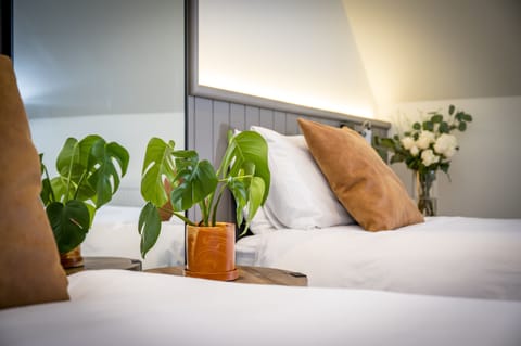 Twin Room | Iron/ironing board, free WiFi, bed sheets