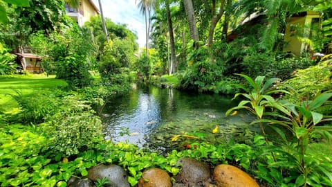 Serene Oasic Bungalow | Garden view