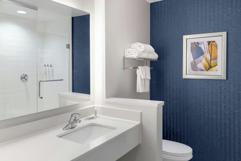 Free toiletries, hair dryer, towels