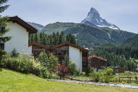 Apartment, 3 Bedrooms, Kitchen, Mountain View | Mountain view