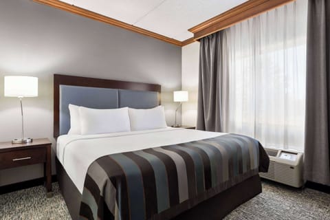 Studio Suite, 1 King Bed, Non Smoking | Desk, iron/ironing board, free cribs/infant beds, bed sheets