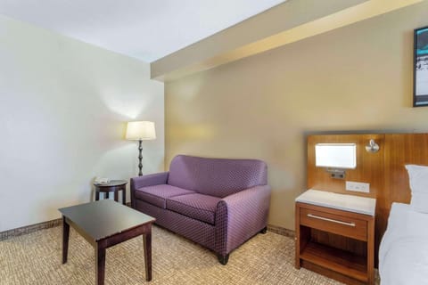 Suite, 1 King Bed with Sofa bed, Accessible, Non Smoking | Down comforters, desk, laptop workspace, blackout drapes