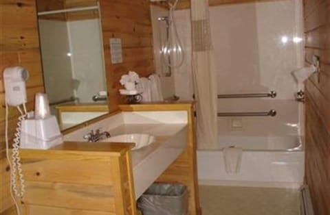 Combined shower/tub, hair dryer, towels