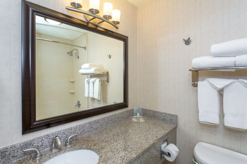 Combined shower/tub, free toiletries, hair dryer, towels