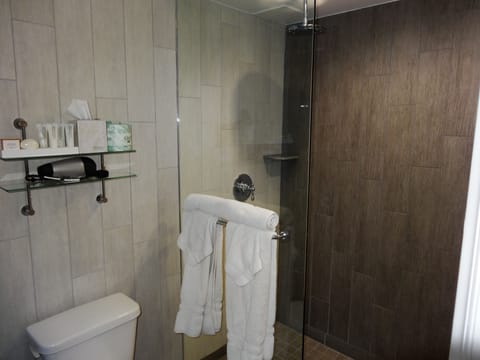 Free toiletries, hair dryer, towels, soap