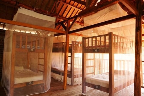 Basic Shared Dormitory | In-room safe, free WiFi, bed sheets