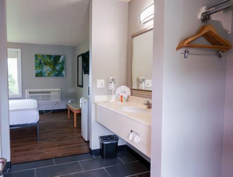 Deluxe Room, 1 King Bed (Deluxe Single King) | Free WiFi, bed sheets