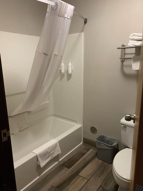 Combined shower/tub, hair dryer, towels