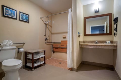 Combined shower/tub, free toiletries, hair dryer, towels