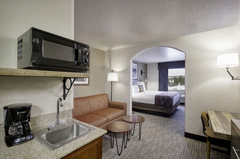 Premium Room, 1 King Bed | Living area | 49-inch flat-screen TV with cable channels, TV