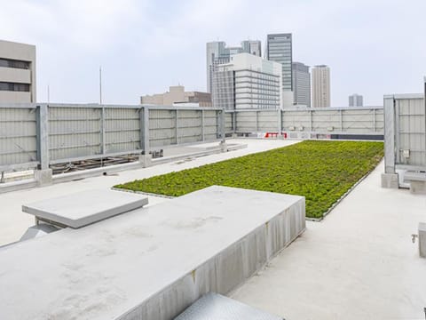Rooftop terrace