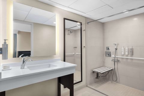 Room, 1 King Bed, Accessible (Roll-In Shower) | Bathroom shower