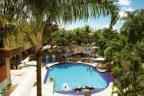 7 outdoor pools, sun loungers